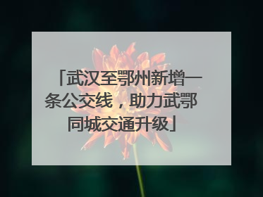 武汉至鄂州新增一条公交线，助力武鄂同城交通升级