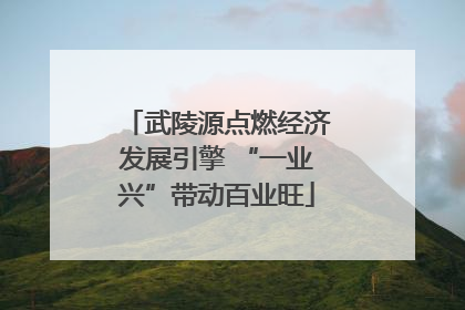 武陵源点燃经济发展引擎 “一业兴”带动百业旺