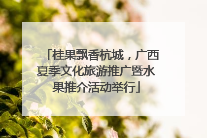 桂果飘香杭城，广西夏季文化旅游推广暨水果推介活动举行