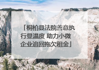 桐柏县法院善意执行显温度 助力小微企业追回拖欠租金
