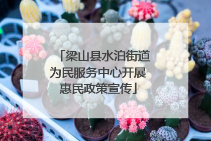 梁山县水泊街道为民服务中心开展惠民政策宣传