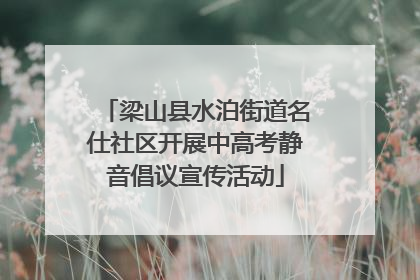 梁山县水泊街道名仕社区开展中高考静音倡议宣传活动