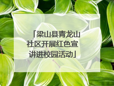 梁山县青龙山社区开展红色宣讲进校园活动