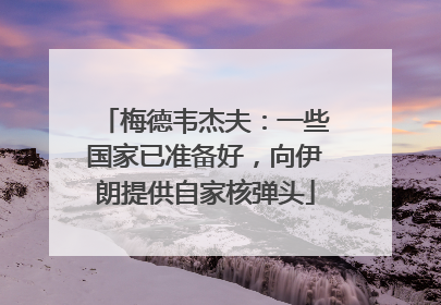 梅德韦杰夫：一些国家已准备好，向伊朗提供自家核弹头
