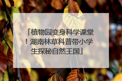 植物园变身科学课堂！湖南林草科普带小学生探秘自然王国