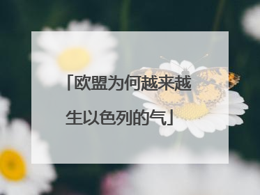 欧盟为何越来越生以色列的气