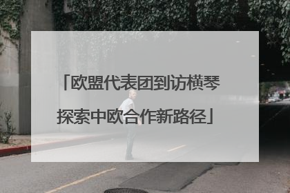 欧盟代表团到访横琴 探索中欧合作新路径