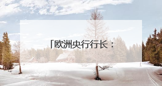 欧洲央行行长：美元主导地位正在变得不确定