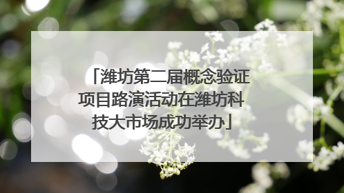 潍坊第二届概念验证项目路演活动在潍坊科技大市场成功举办