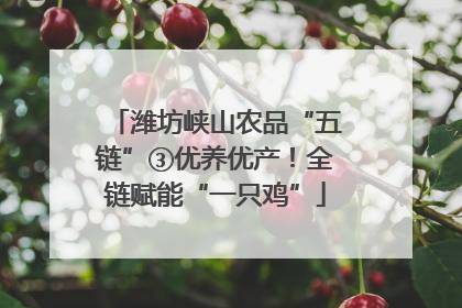 潍坊峡山农品“五链”③优养优产！全链赋能“一只鸡”