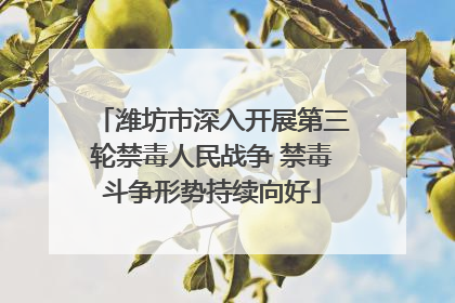 潍坊市深入开展第三轮禁毒人民战争 禁毒斗争形势持续向好