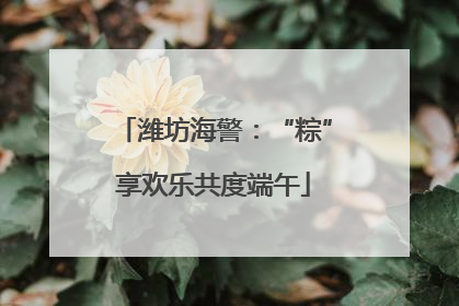 潍坊海警：“粽”享欢乐共度端午