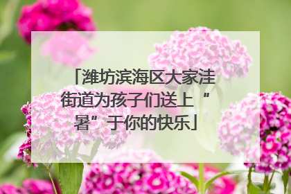 潍坊滨海区大家洼街道为孩子们送上“暑”于你的快乐