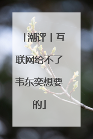 潮评丨互联网给不了韦东奕想要的