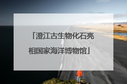 澄江古生物化石亮相国家海洋博物馆
