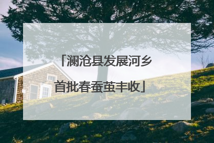 澜沧县发展河乡首批春蚕茧丰收