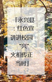 永兴县：红色宣讲进校园 “兴”火相传正当时