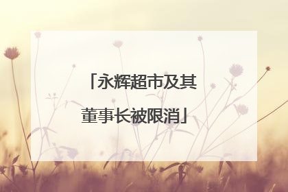 永辉超市及其董事长被限消