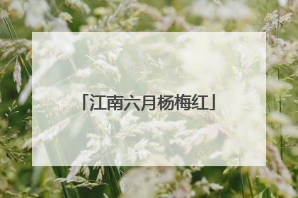 江南六月杨梅红