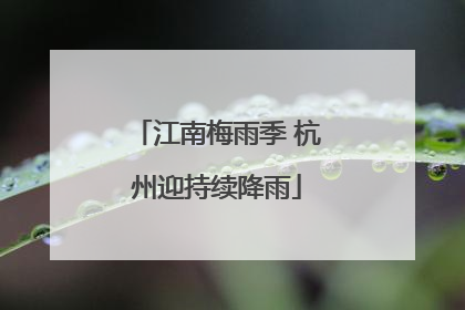 江南梅雨季 杭州迎持续降雨