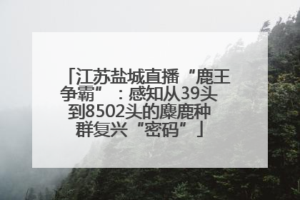 江苏盐城直播“鹿王争霸”：感知从39头到8502头的麋鹿种群复兴“密码”