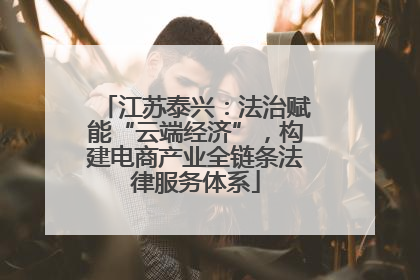 江苏泰兴：法治赋能“云端经济”，构建电商产业全链条法律服务体系