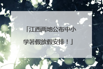 江西两地公布中小学暑假放假安排！