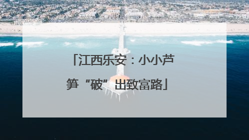 江西乐安：小小芦笋“破”出致富路
