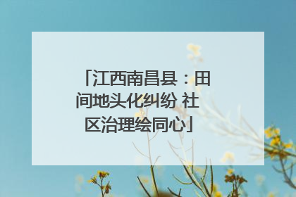 江西南昌县：田间地头化纠纷 社区治理绘同心