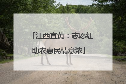江西宜黄：志愿红助农惠民情意浓