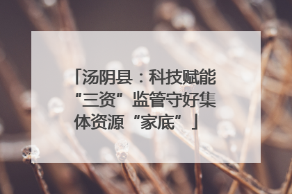 汤阴县：科技赋能“三资”监管守好集体资源“家底”