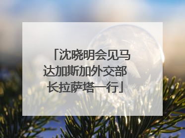 沈晓明会见马达加斯加外交部长拉萨塔一行