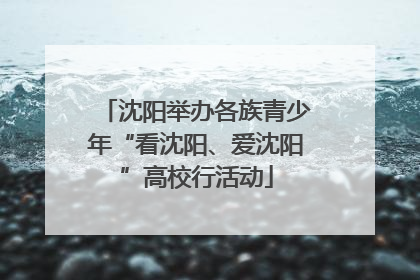 沈阳举办各族青少年“看沈阳、爱沈阳”高校行活动