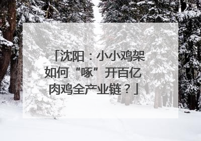 沈阳：小小鸡架如何“啄”开百亿肉鸡全产业链？