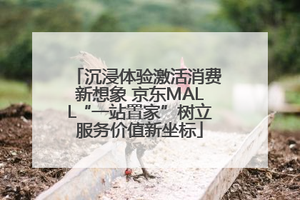 沉浸体验激活消费新想象 京东MALL“一站置家”树立服务价值新坐标