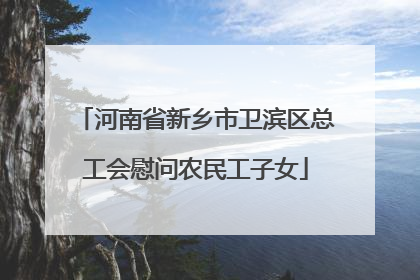 河南省新乡市卫滨区总工会慰问农民工子女