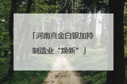 河南真金白银加持制造业“焕新”