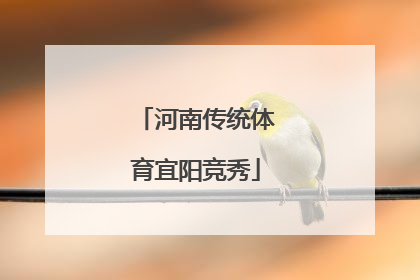 河南传统体育宜阳竞秀