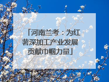 河南兰考：为红薯深加工产业发展贡献巾帼力量