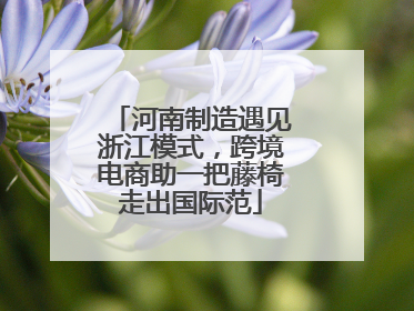 河南制造遇见浙江模式，跨境电商助一把藤椅走出国际范