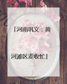 河南巩义：黄河滩区麦收忙