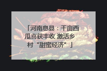 河南息县：千亩西瓜喜获丰收 激活乡村“甜蜜经济”