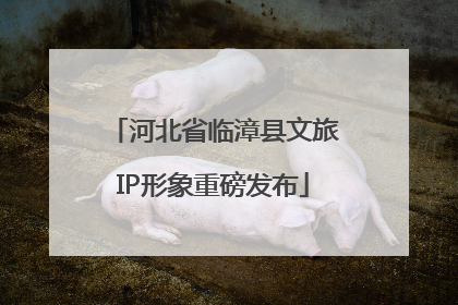 河北省临漳县文旅IP形象重磅发布