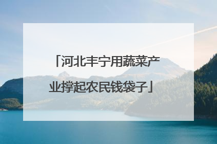 河北丰宁用蔬菜产业撑起农民钱袋子
