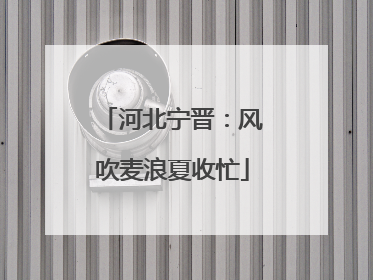 河北宁晋：风吹麦浪夏收忙