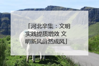 河北辛集：文明实践提质增效 文明新风蔚然成风