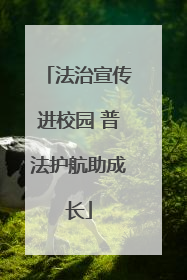 法治宣传进校园 普法护航助成长