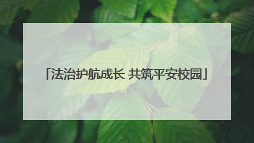 法治护航成长 共筑平安校园