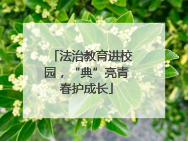 法治教育进校园，“典”亮青春护成长