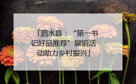 泗水县：“第一书记好品推荐”展销活动助力乡村振兴